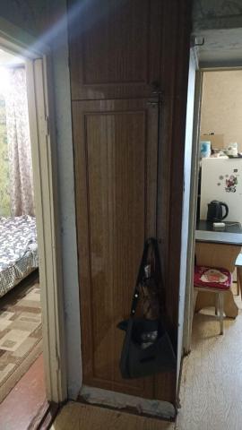 Квартиры, 1-комн., Владимир