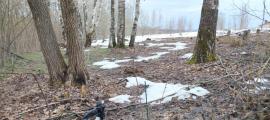 Участки, Владимир