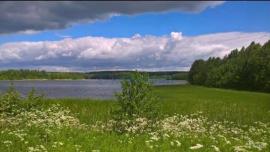 , Владимирская область