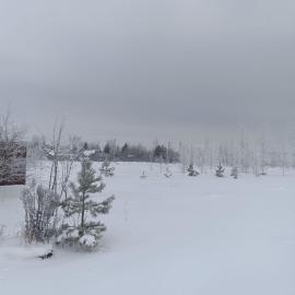 Участки, Владимирская область